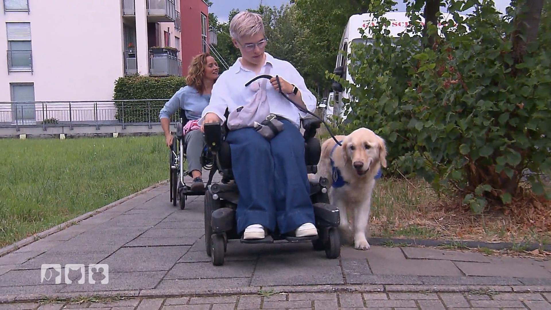 Bei diesem tollen Hund kommen Kate fast die Tränen