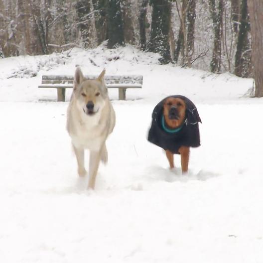 Fit durch die kalte Jahreszeit