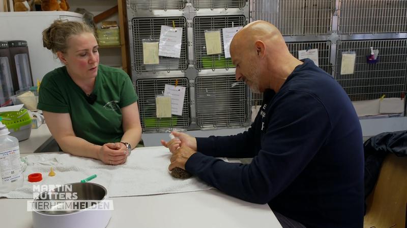 So intensiv ist die Arbeit im Wildtierkindergarten