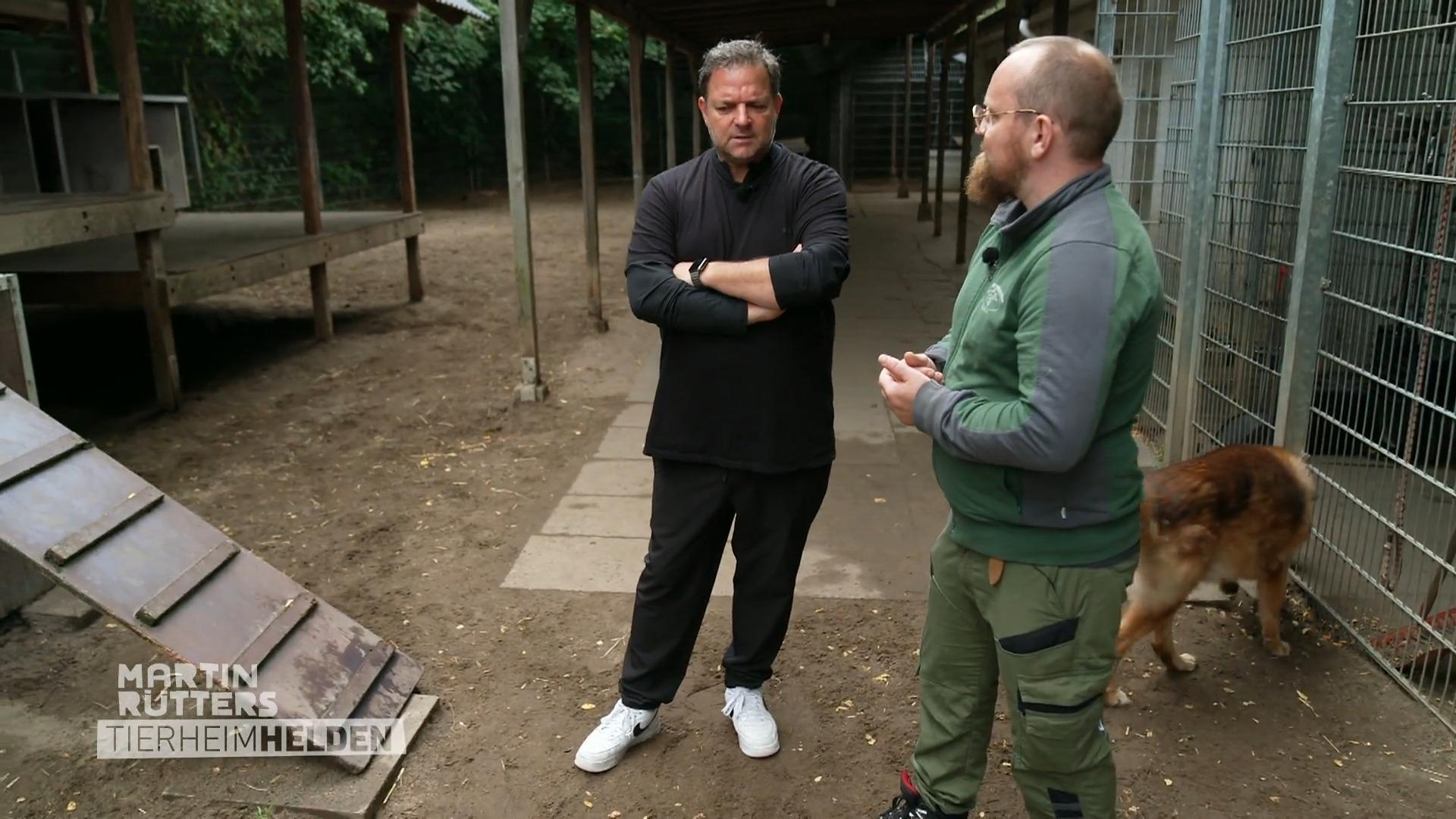 Martins Besuch bei Hamburgs Listenhunden