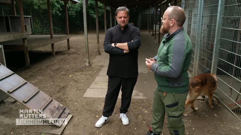 Martins Besuch bei Hamburgs Listenhunden