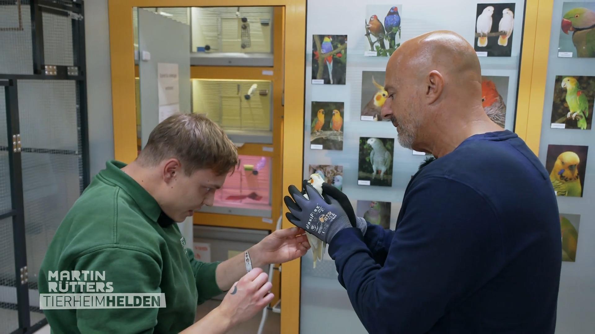 Detlef im Papageienhaus