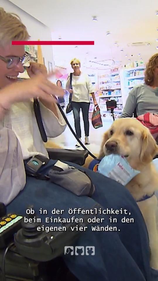 Leben im Rollstuhl mit Assistenzhund