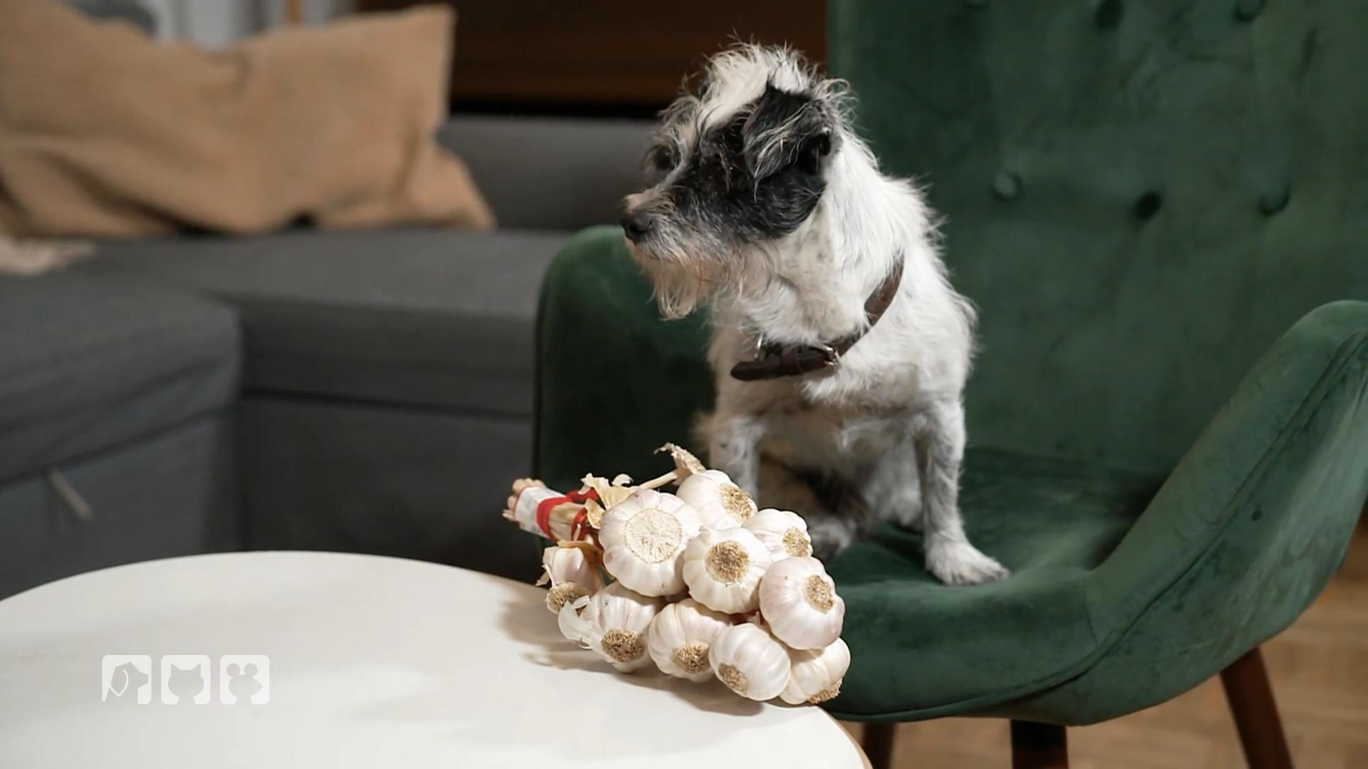 Auch beim Obst und Gemüse ist Vorsicht geboten