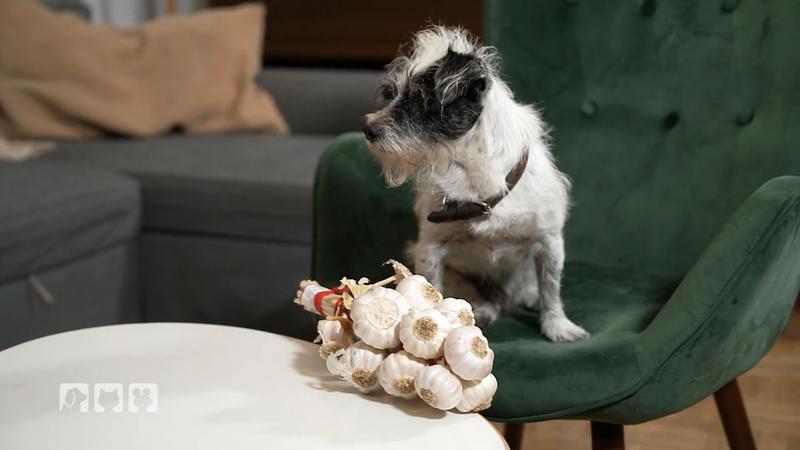 Auch beim Obst und Gemüse ist Vorsicht geboten