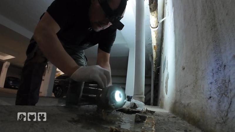 Suche nach dem Küken in der Kanalisation