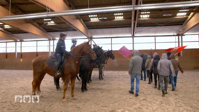 Streife und Stresstraining