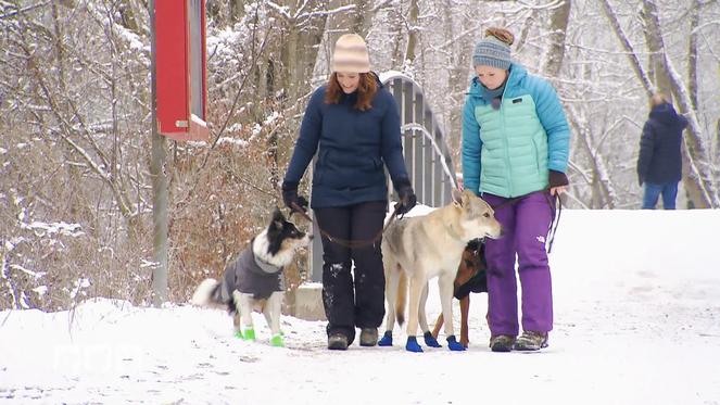 So wird der Spaziergang im Schnee für alle ein Spaß