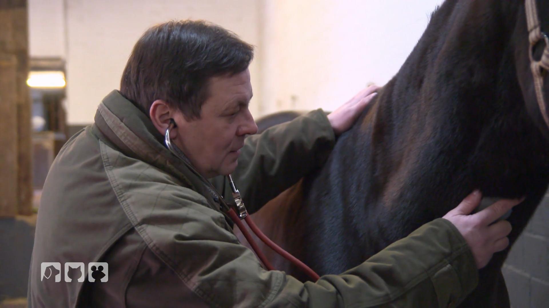 Lucky durchläuft seine letzte Eignungsprüfung