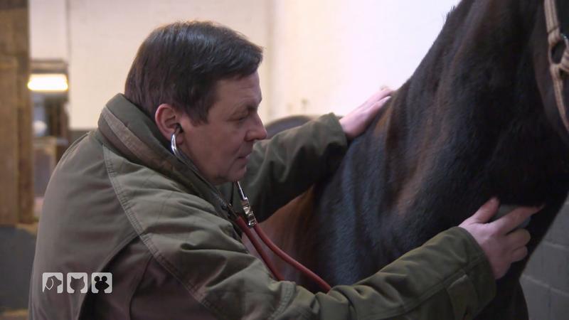 Lucky durchläuft seine letzte Eignungsprüfung