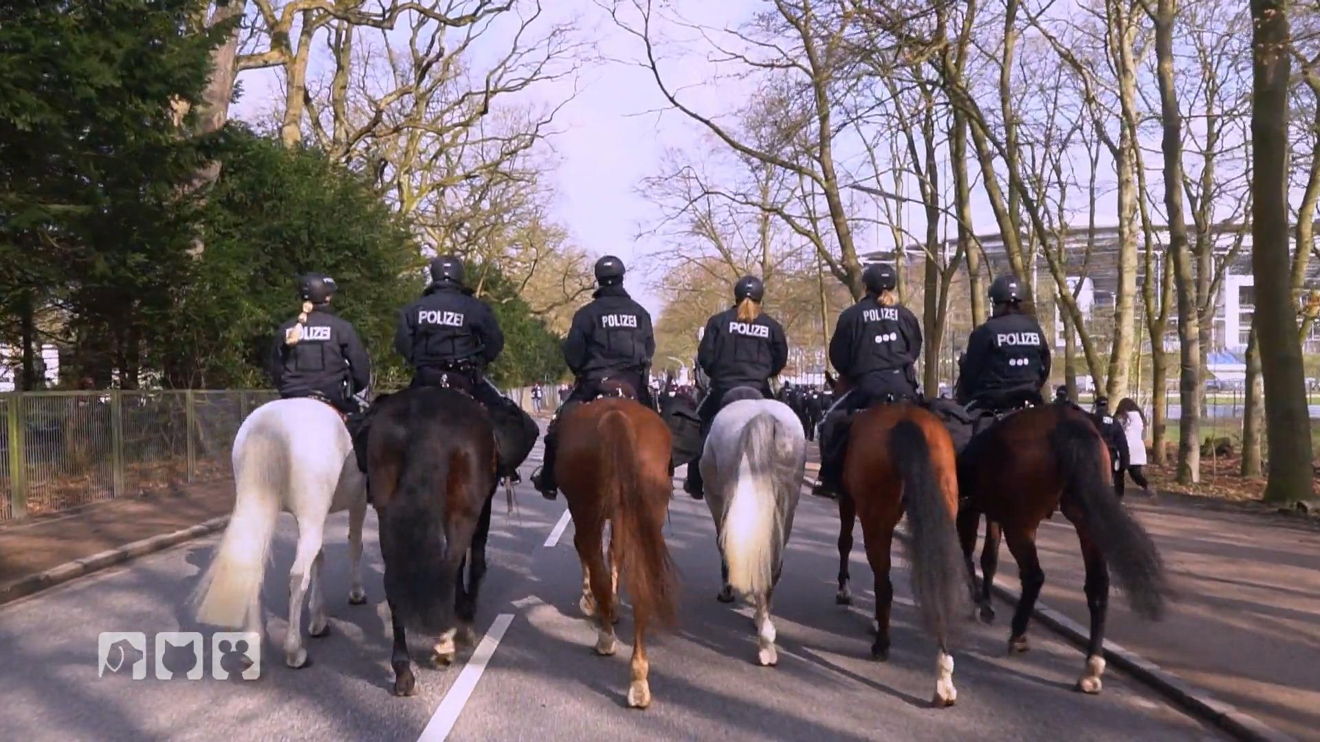 Athos erster Einsatz als Polizeipferd