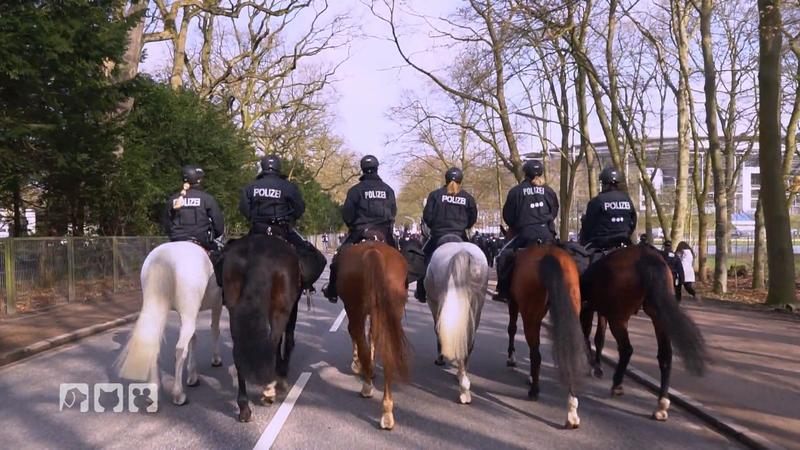 Athos erster Einsatz als Polizeipferd