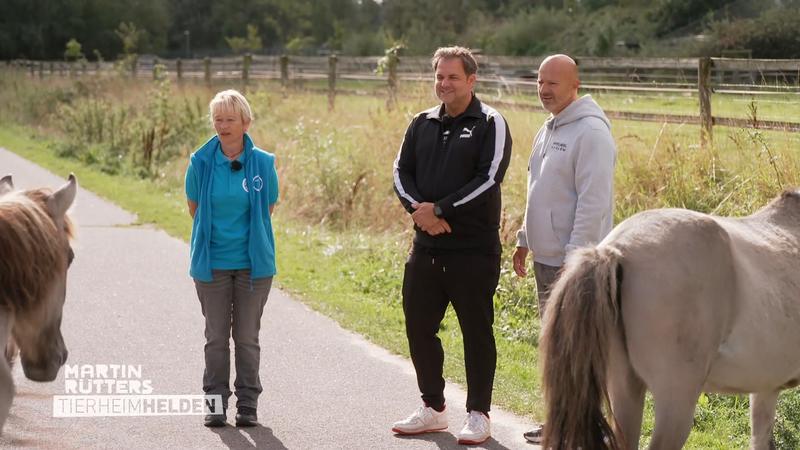 "Wir machen da weiter, wo andere aufhören"
