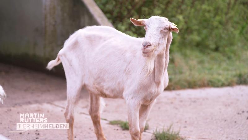 Hier wird jeder aufgepäppelt