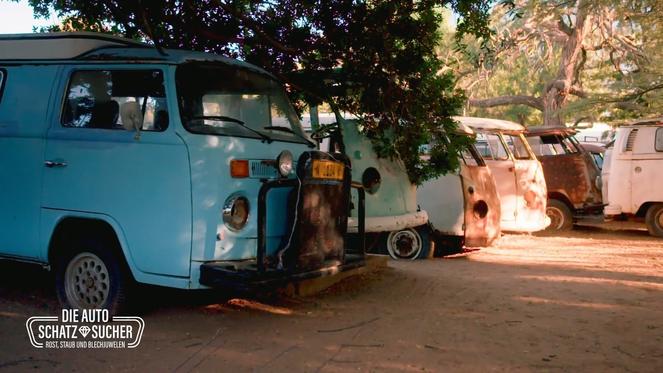 Sieben VW Bullis auf einen Streich!