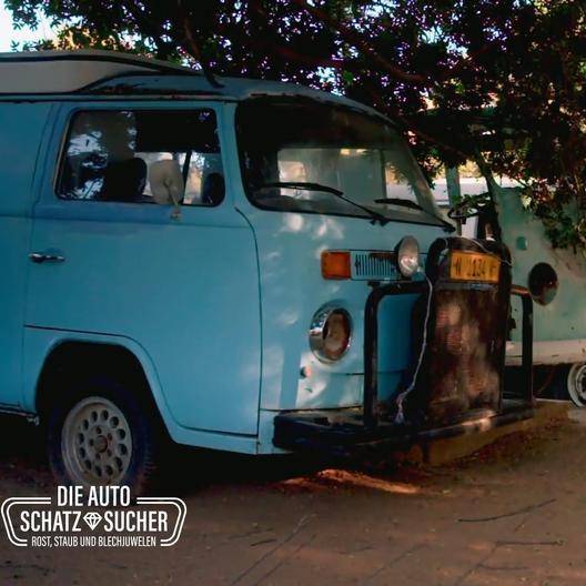 Sieben VW Bullis auf einen Streich!