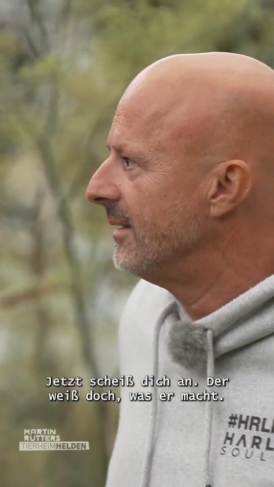 Angst vor der Schnappschilskröte?