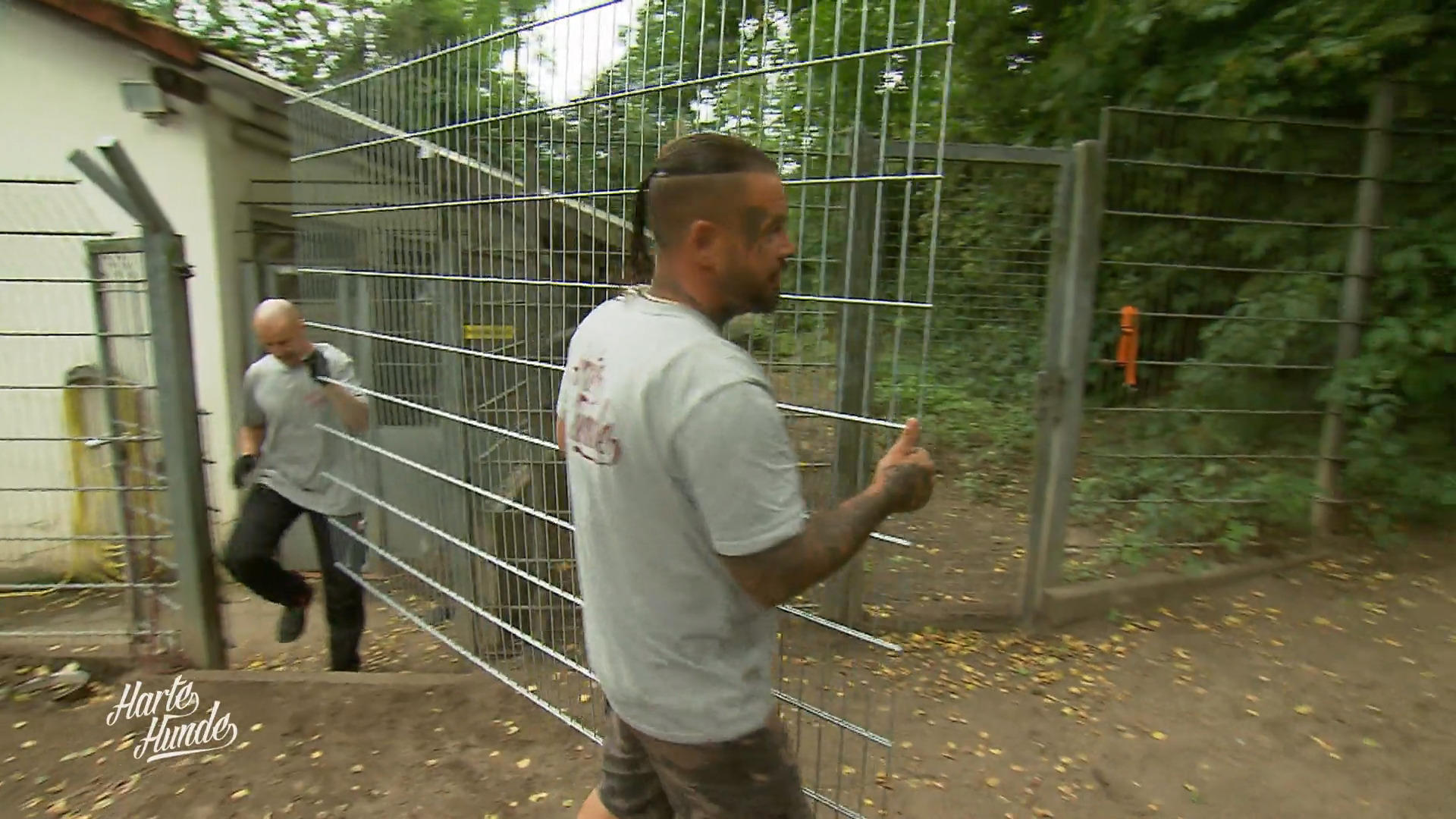 Einbruchsicherung für das Tierheim Witten