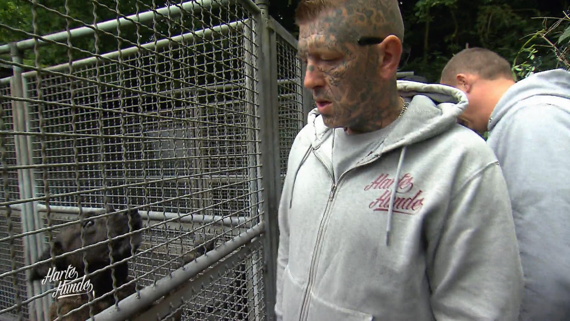 Zaunbau unter Dauerbellen