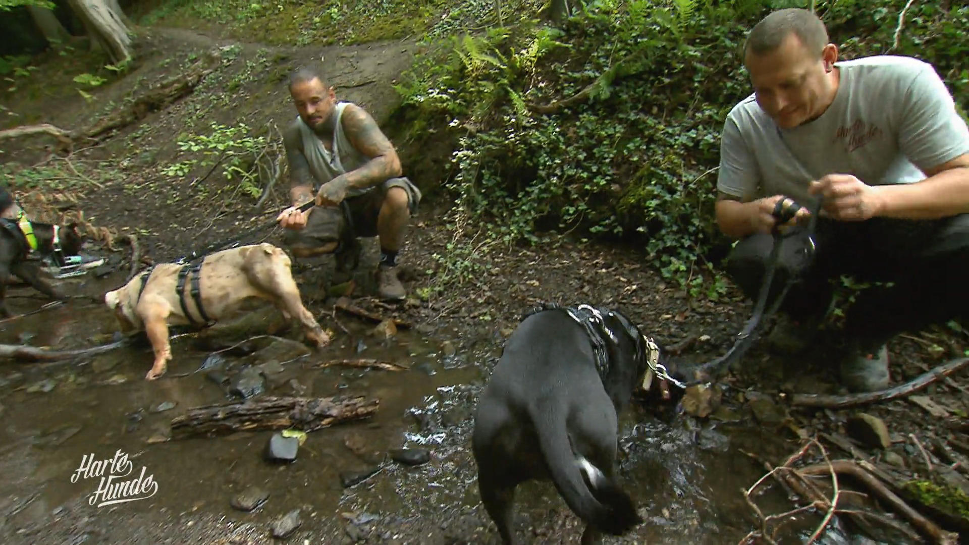 Arbeiten, helfen, sozialisieren