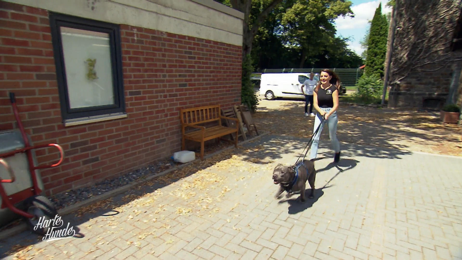 Gestohlen, verschwunden – und plötzlich zurück