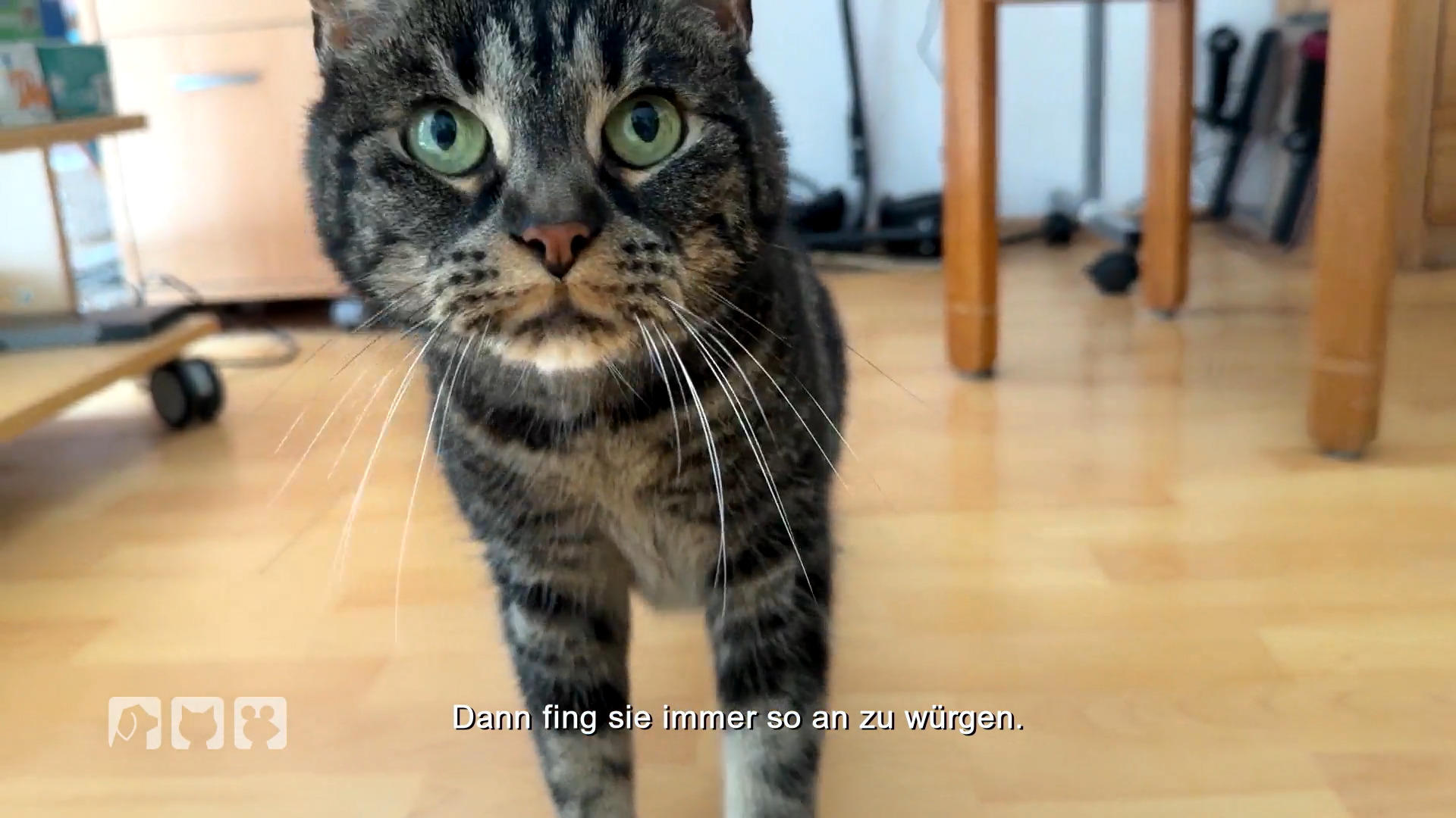 Tierärztin Nadine Küpper im Einsatz: Was hat Nala?