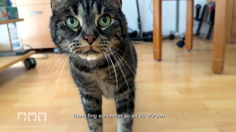 Tierärztin Nadine Küpper im Einsatz: Was hat Nala?