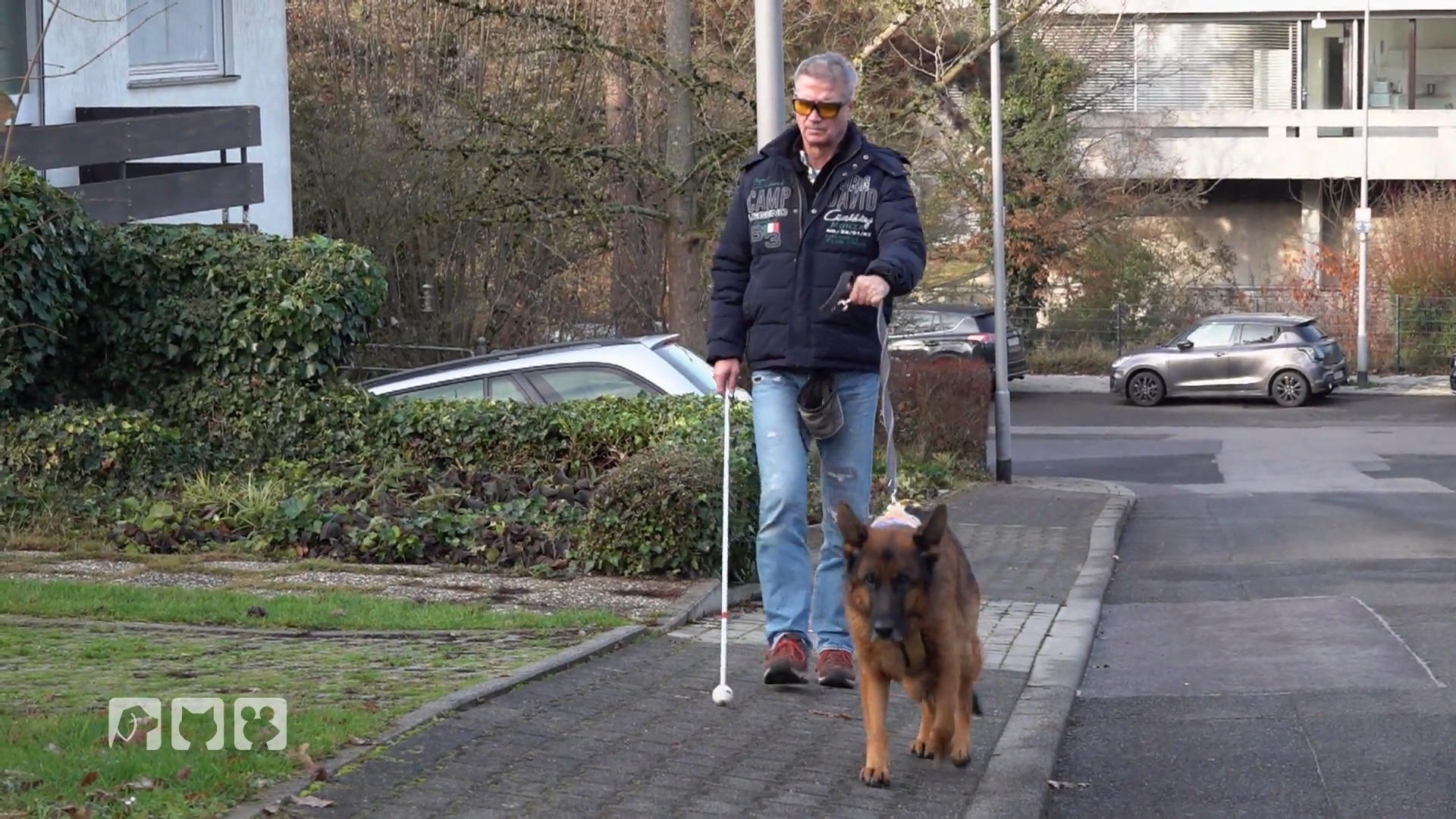 Blindenführhund Jerry: Ablenkung statt Orientierung