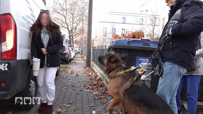 Hat Jerry als Blindenführhund noch eine Chance?