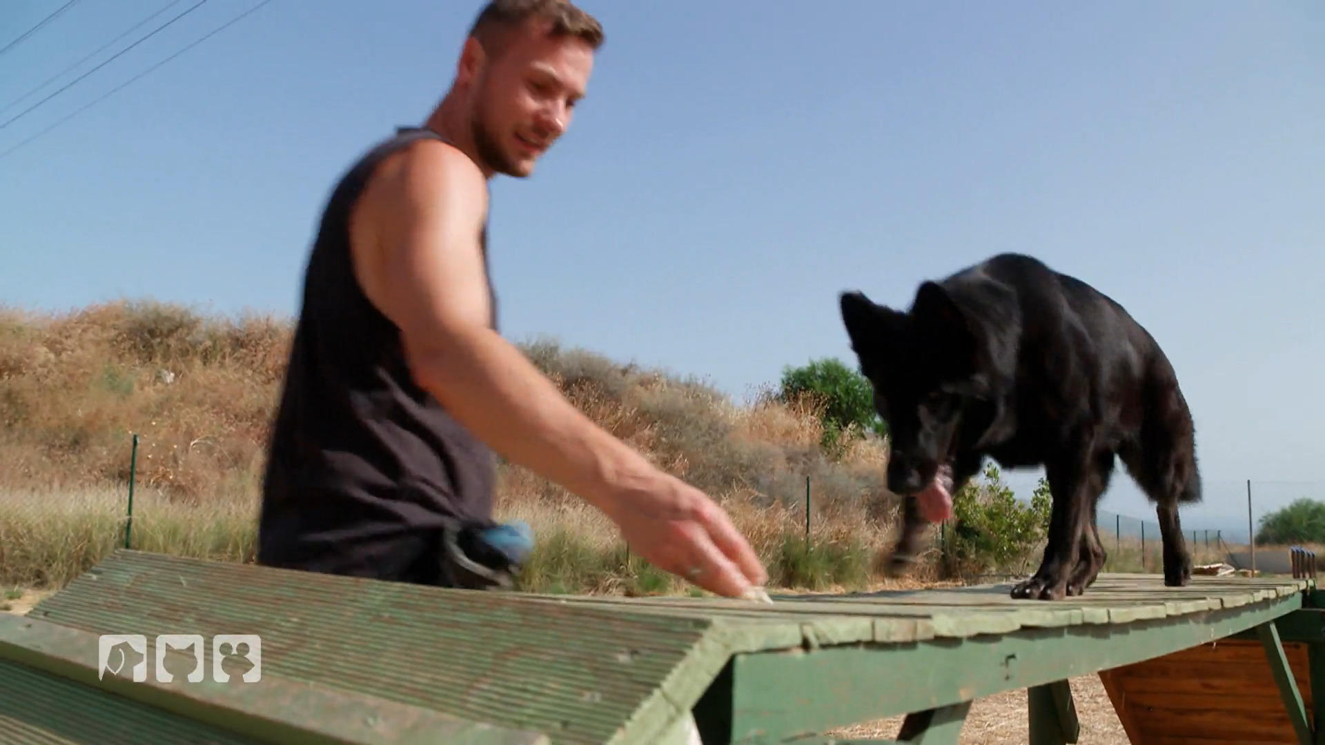 Arabella im Training mit Steve