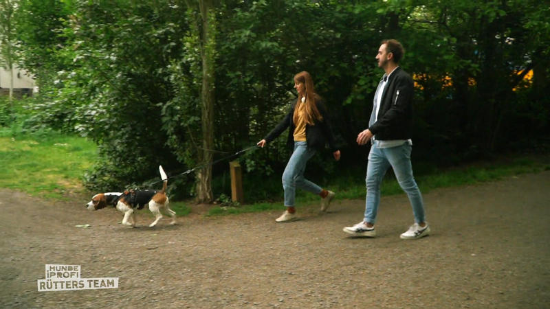 Kuno riecht alles – nur nicht das Stopp-Signal