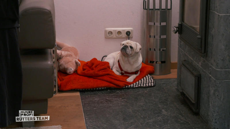 Nachsitzen oder Lob vom Profi?