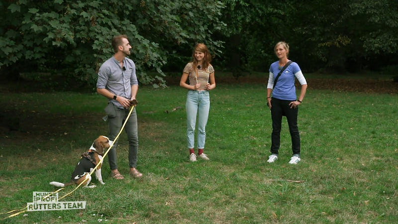 Rückruf-Check: Hat Kuno seine Hausaufgaben gemacht?