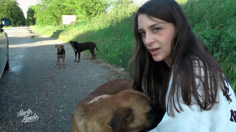 Hilfe vor Ort und im Ausland