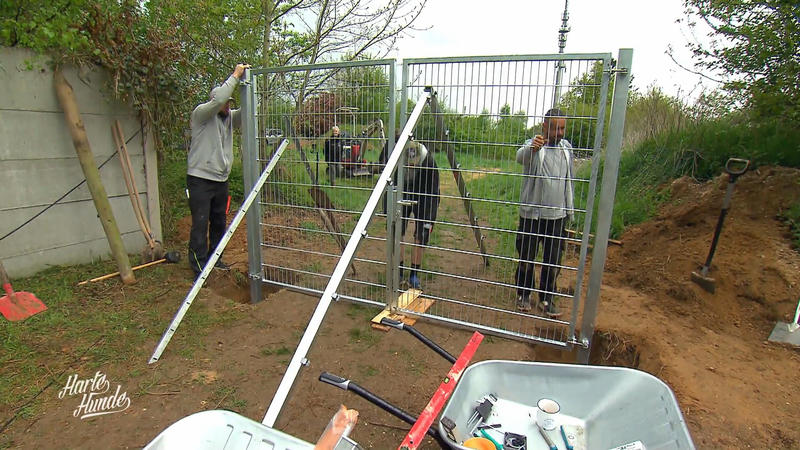 Pfosten, Beton, Deadline: Schaffen die 'Harten Hunde' Marinas Überraschung?