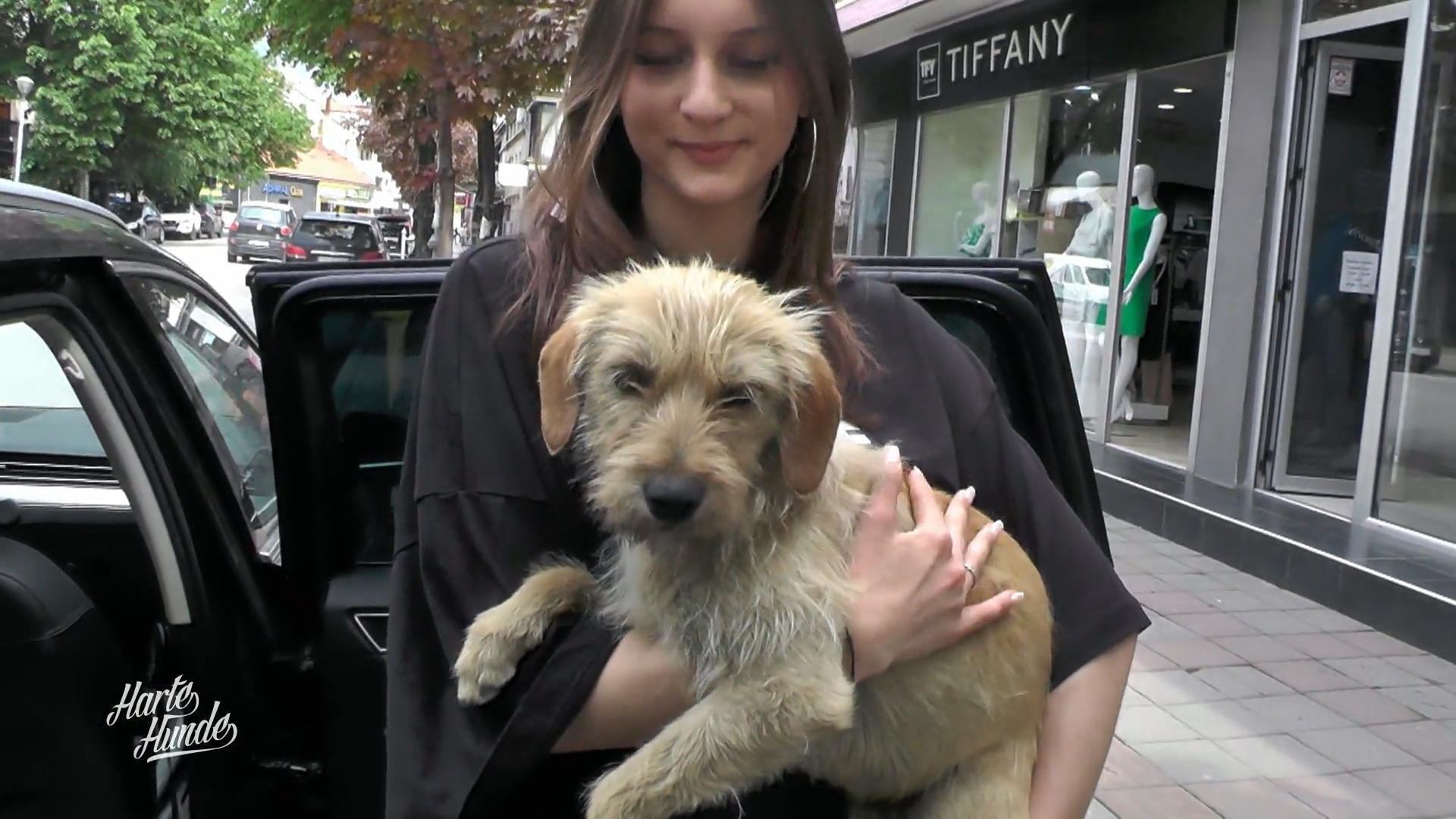 Rettungsmission vor der Euthanasie