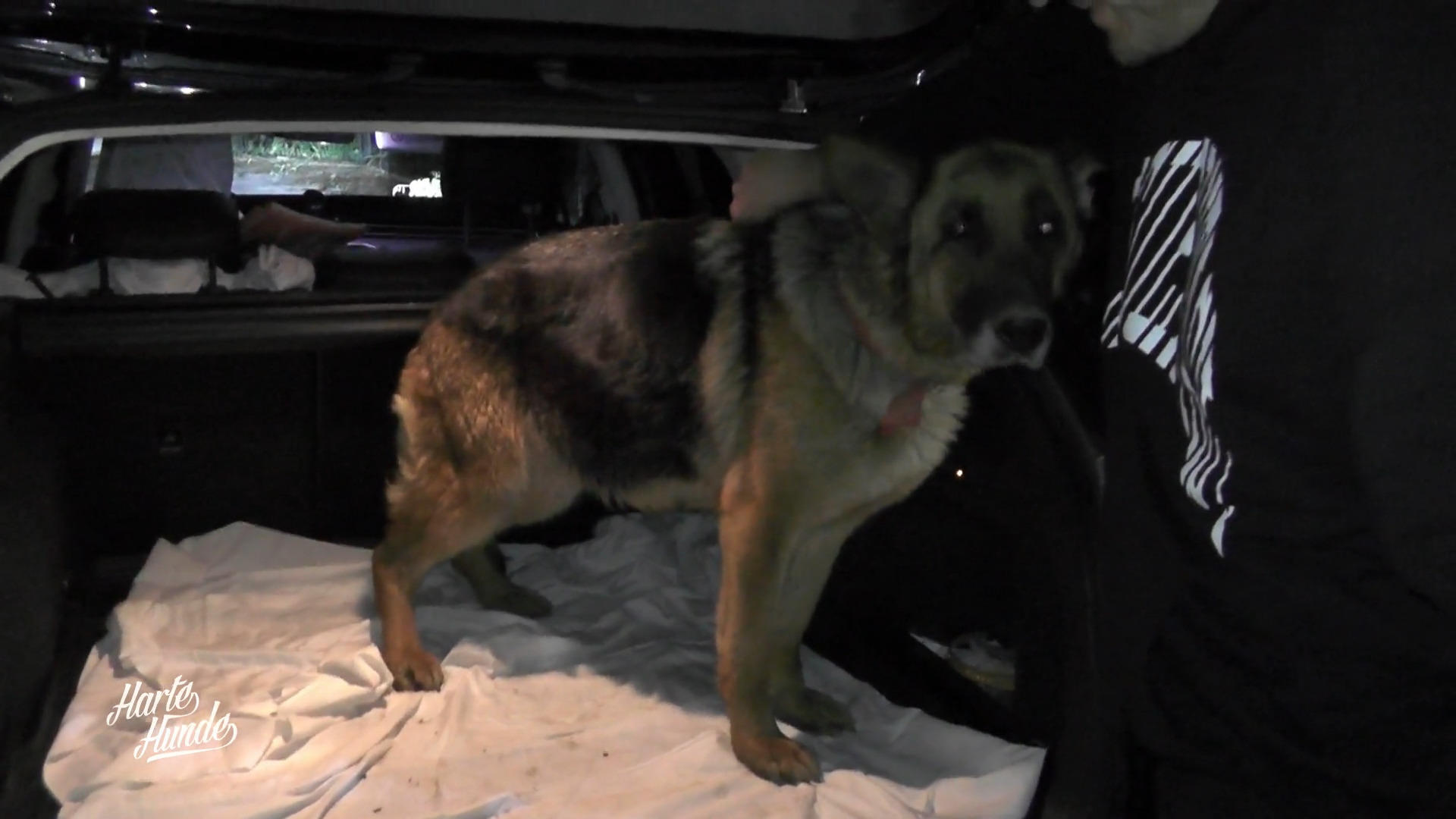 Von Rumänien ins neue Leben