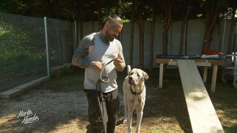 Sonne, neues Gehege und Wellnessprogramm für Pascha