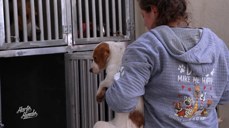 Vom Transporter ins neue Leben