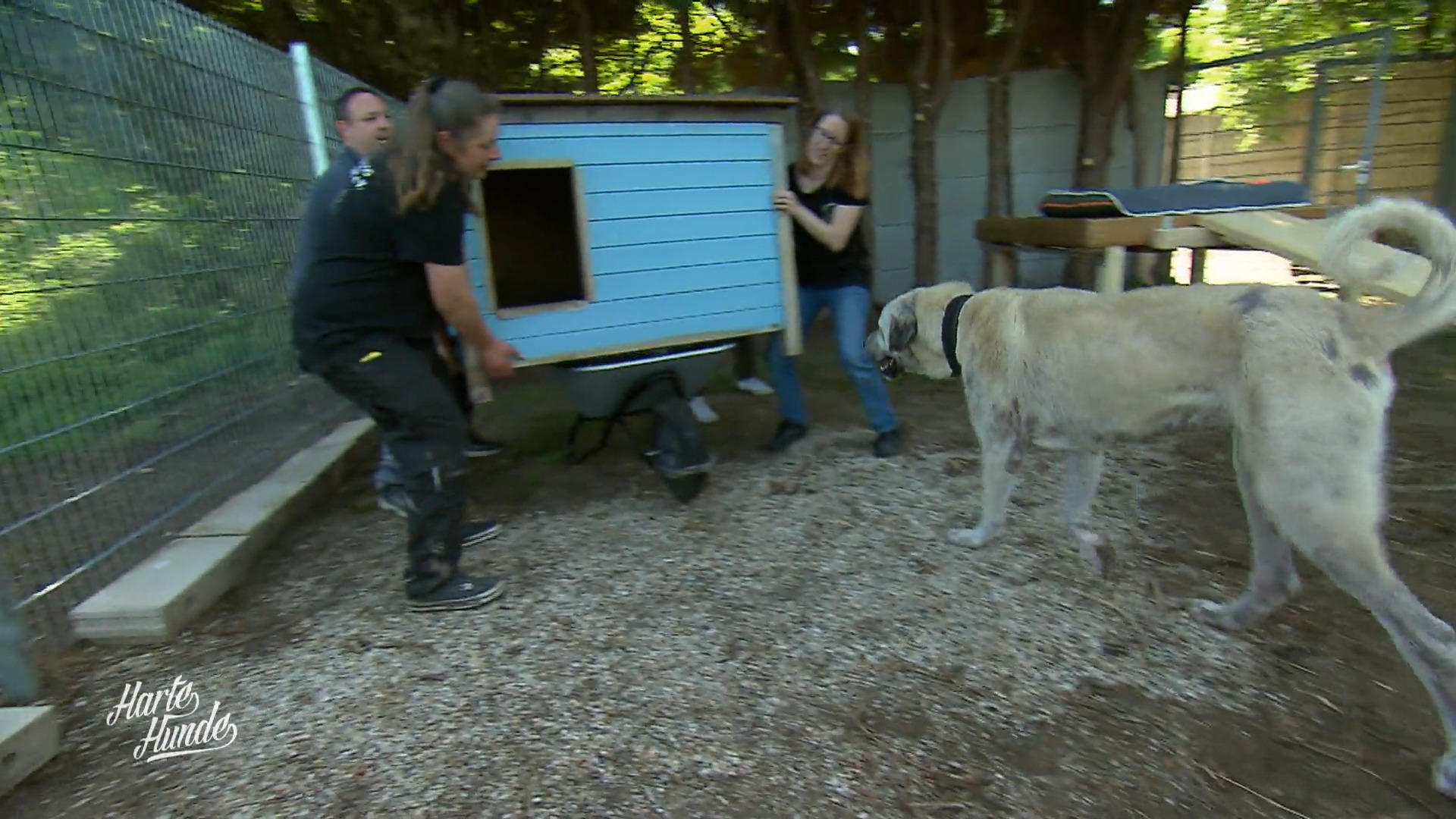 Auslauf mit Wohlfühlfaktor