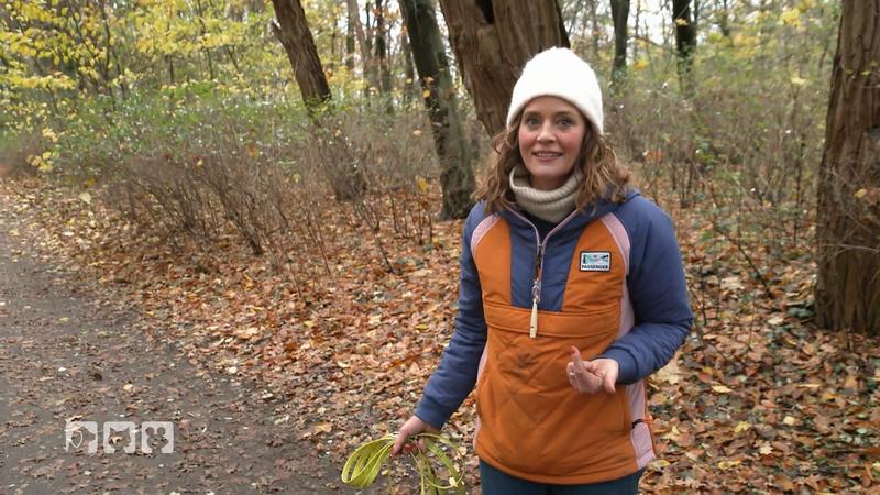 Kate Kitchenhams Hund Boo ist in der Pubertät