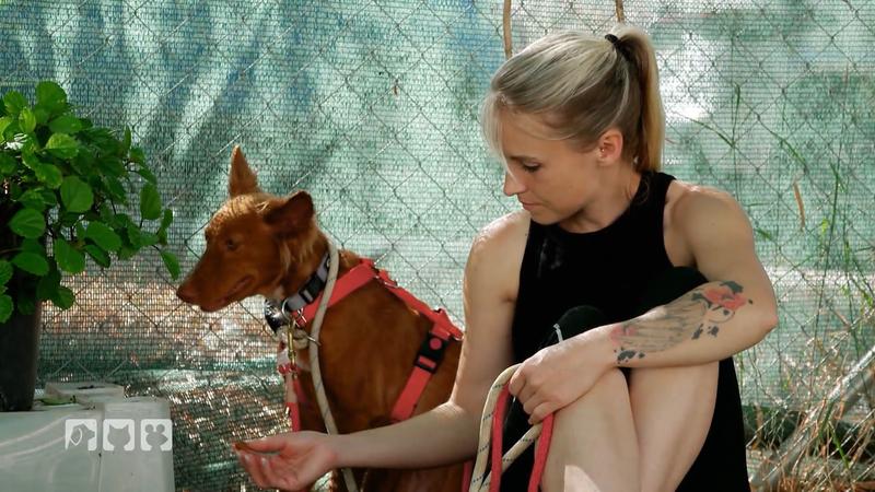 17 Glückspilze verlassen Marbella