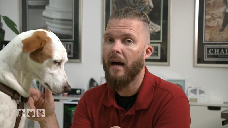 Tierarzt Sebastian Goßmann-Jonigkeit klärt auf