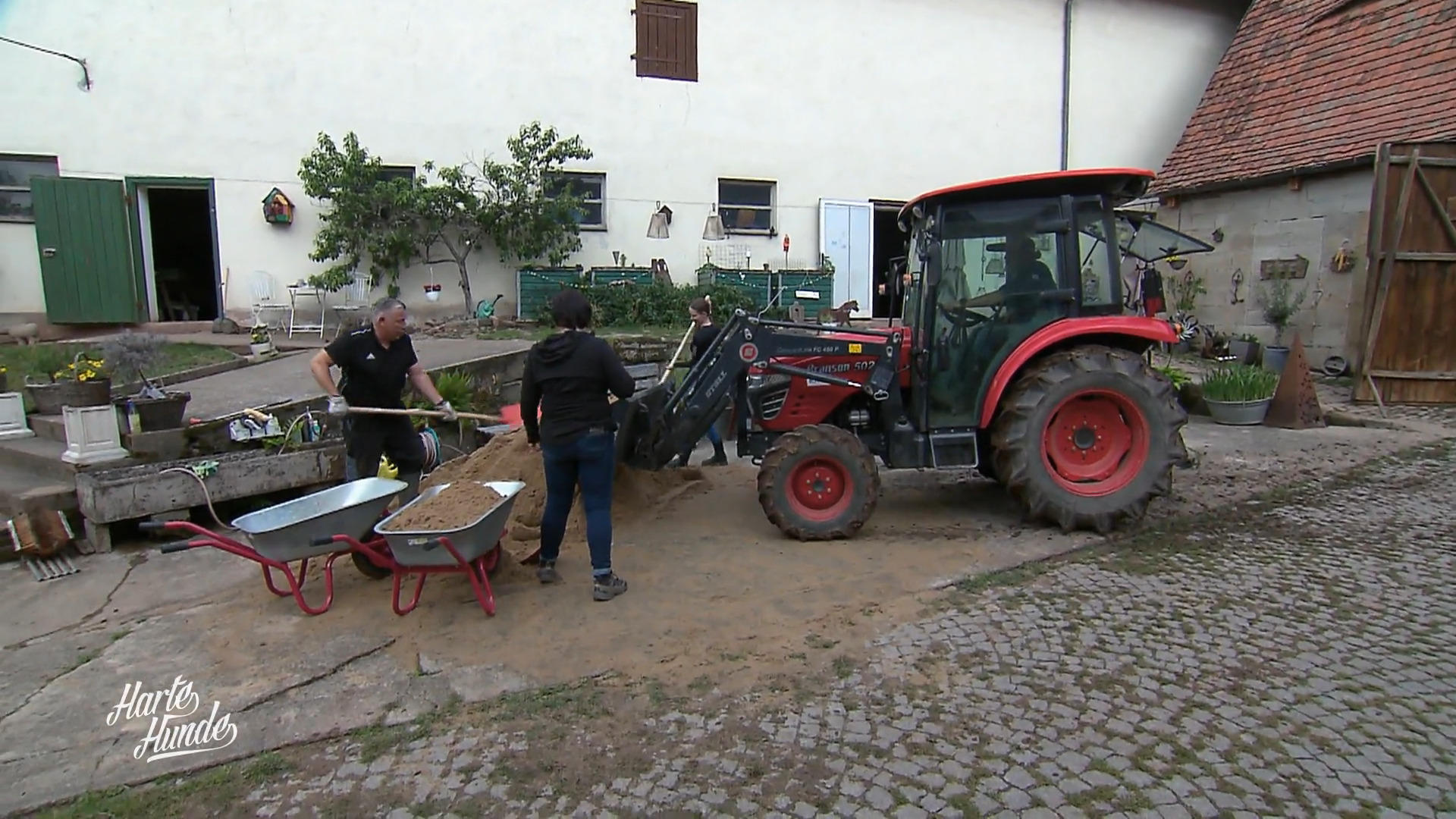 Der Schweineauslauf bekommt Sand