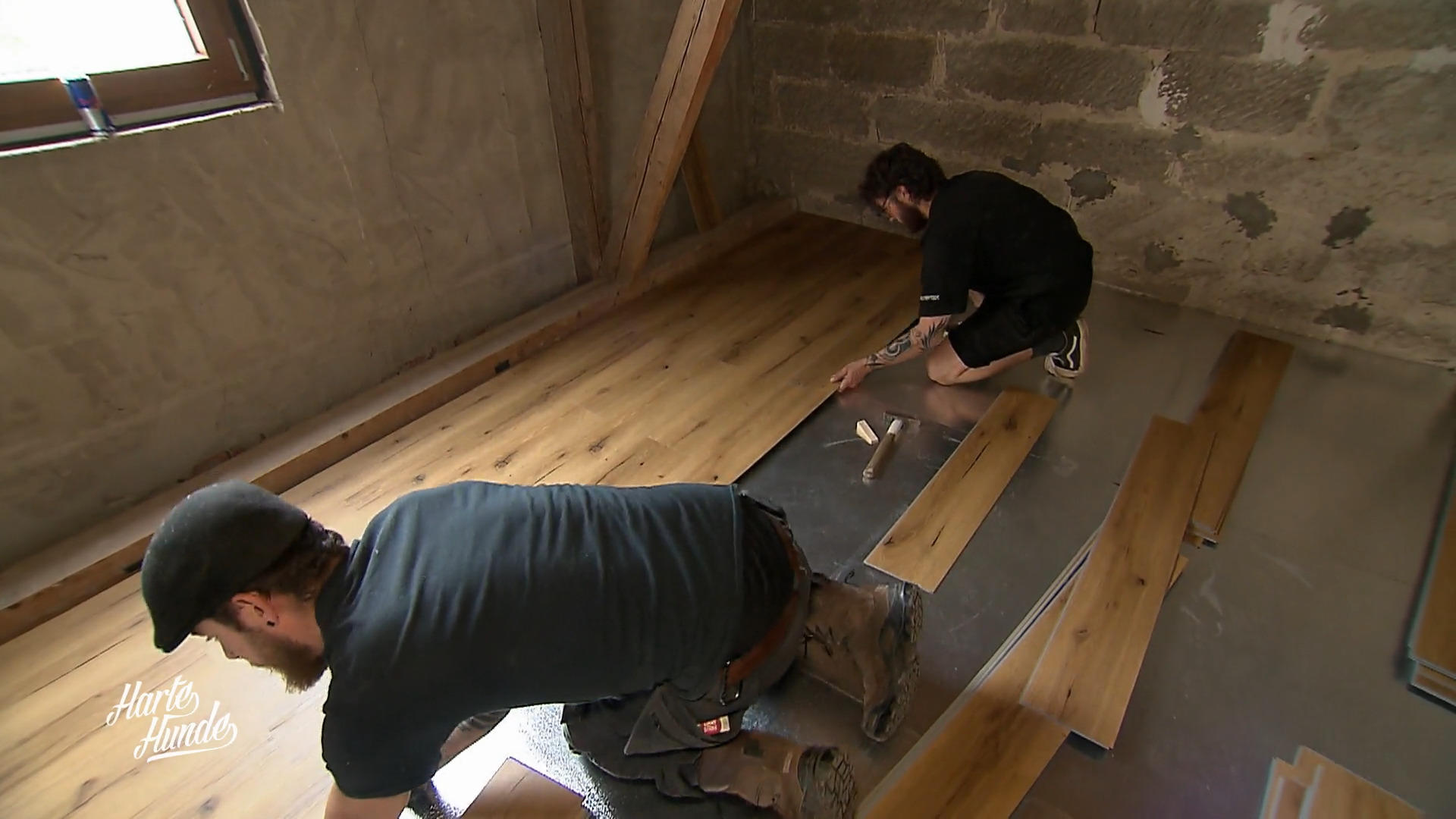 Röntgen für die Esel, Bau für die Katzen