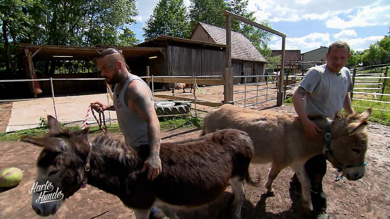 Geheimprojekt unter Druck