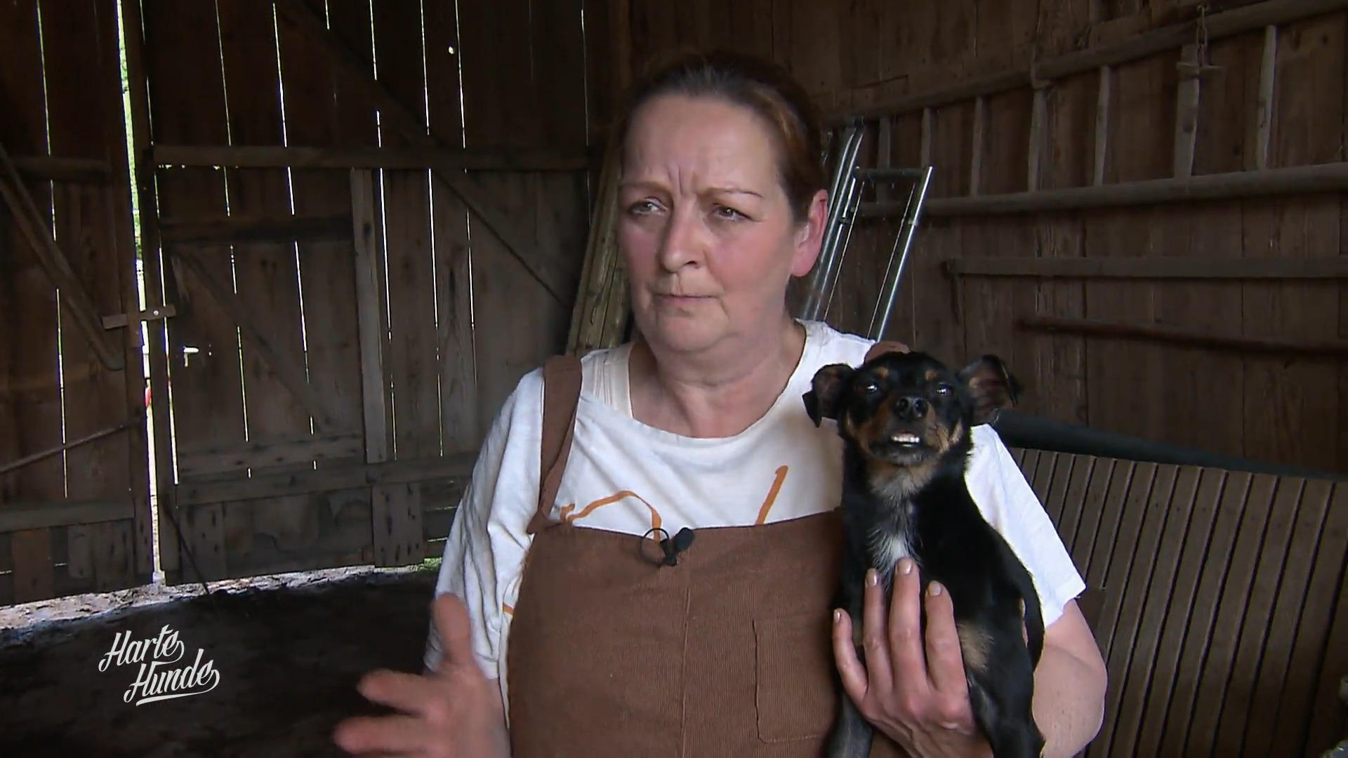 Kraft zurück auf vier Pfoten