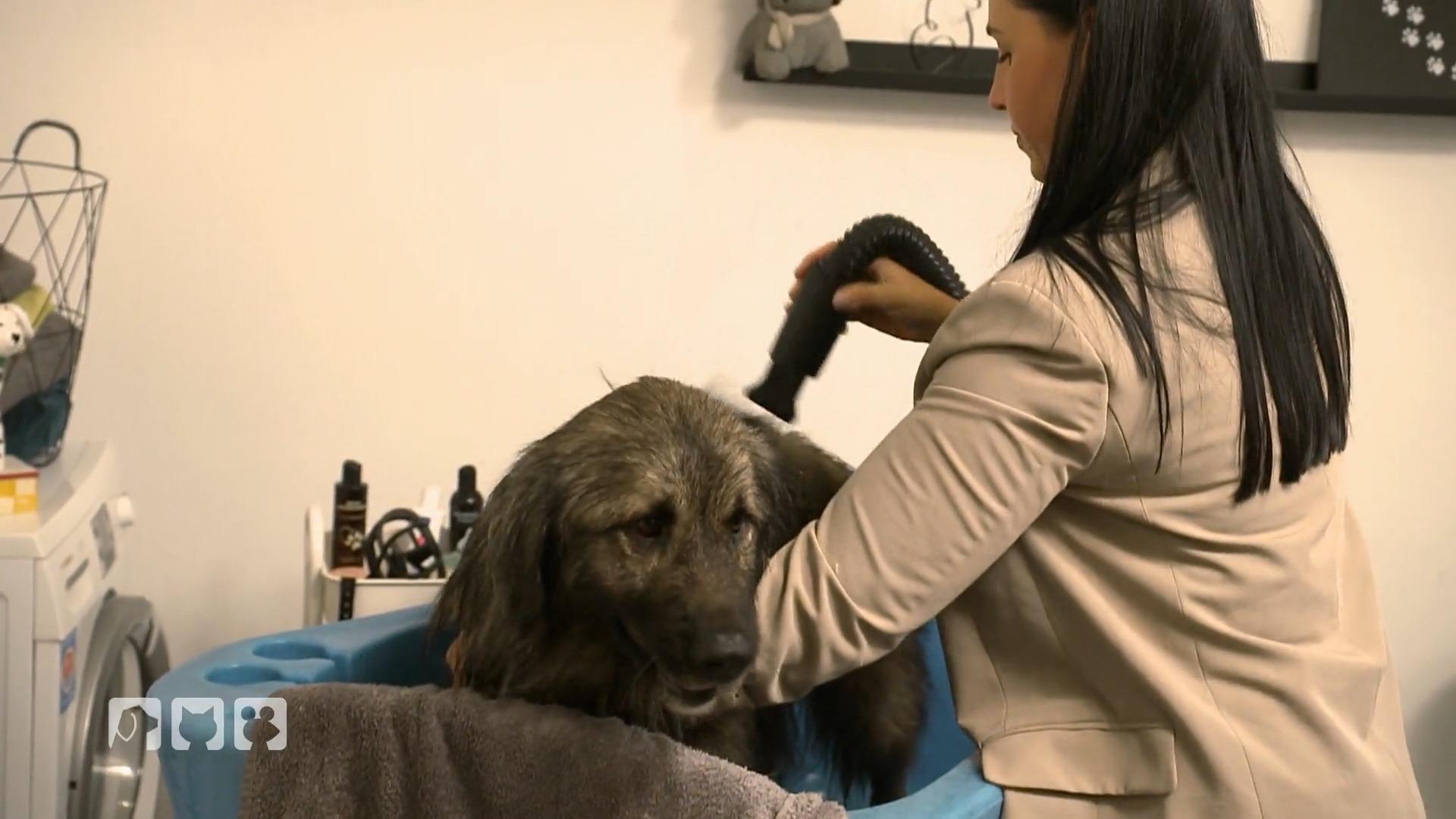 Durchhalten für die Traumfrisur