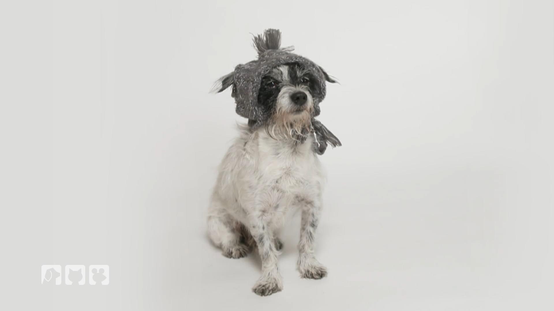 Kate testet den Outfit-Hype