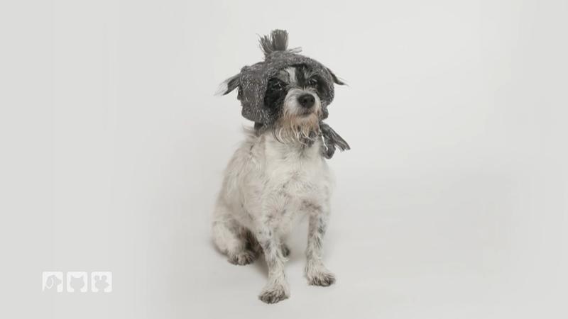 Kate testet den Outfit-Hype